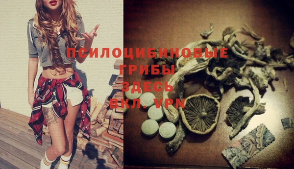 spice Богданович