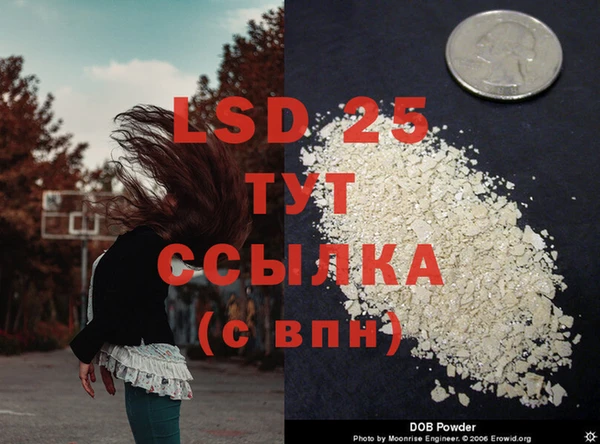 дживик Слюдянка