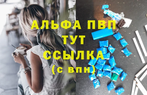 spice Богданович