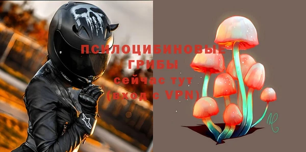 спиды Богородицк