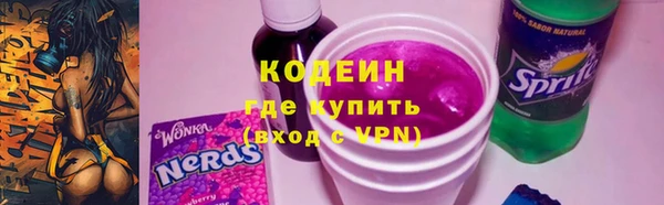 спиды Богородицк