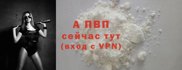 спиды Богородицк