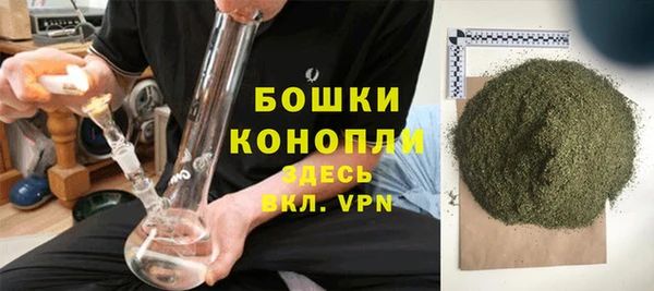 спиды Богородицк