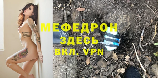 спиды Богородицк